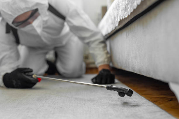 Professional Bed Bug Control technician working in Kennebec County County, ME